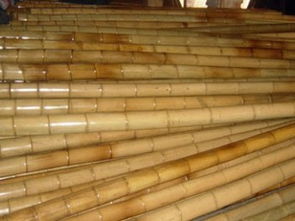 北京竹竿批發與直銷渠道全指南